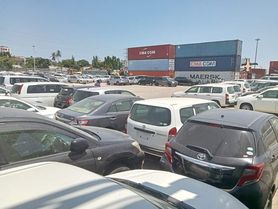 480499117_614814528148579_6401844279729451861_n